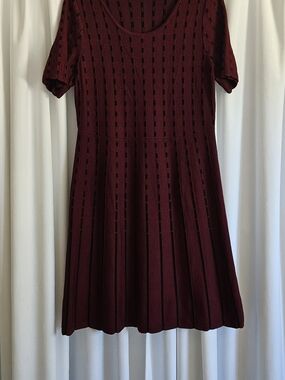 Nina Leonard Burgundy Fit & Flare Sweater Dress
